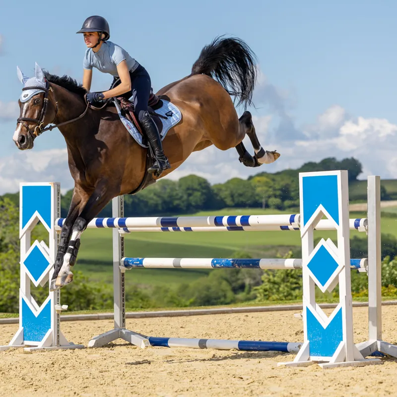 LeMieux Loire Classic GP Square - Mist-2